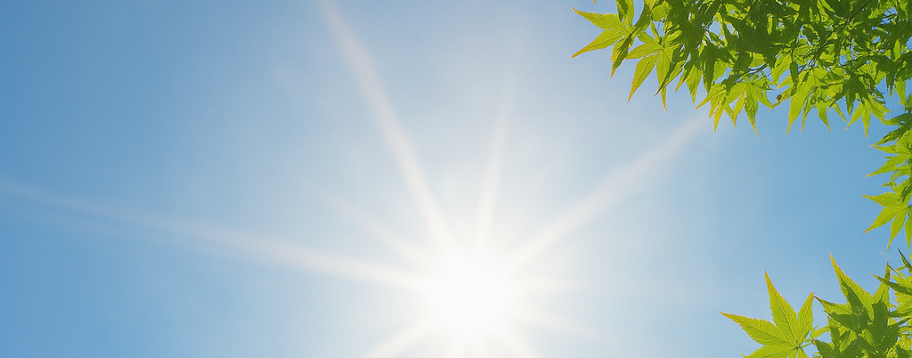 夏の暑さ対策